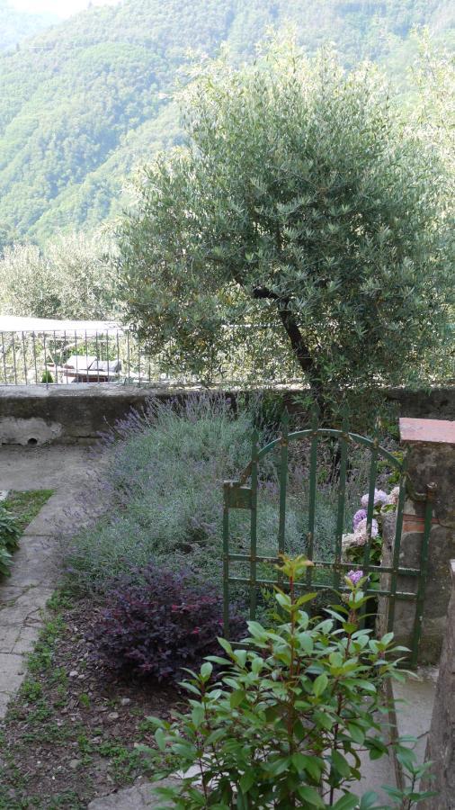 הוילה באניי די לוקה Piscina Con Vista מראה חיצוני תמונה