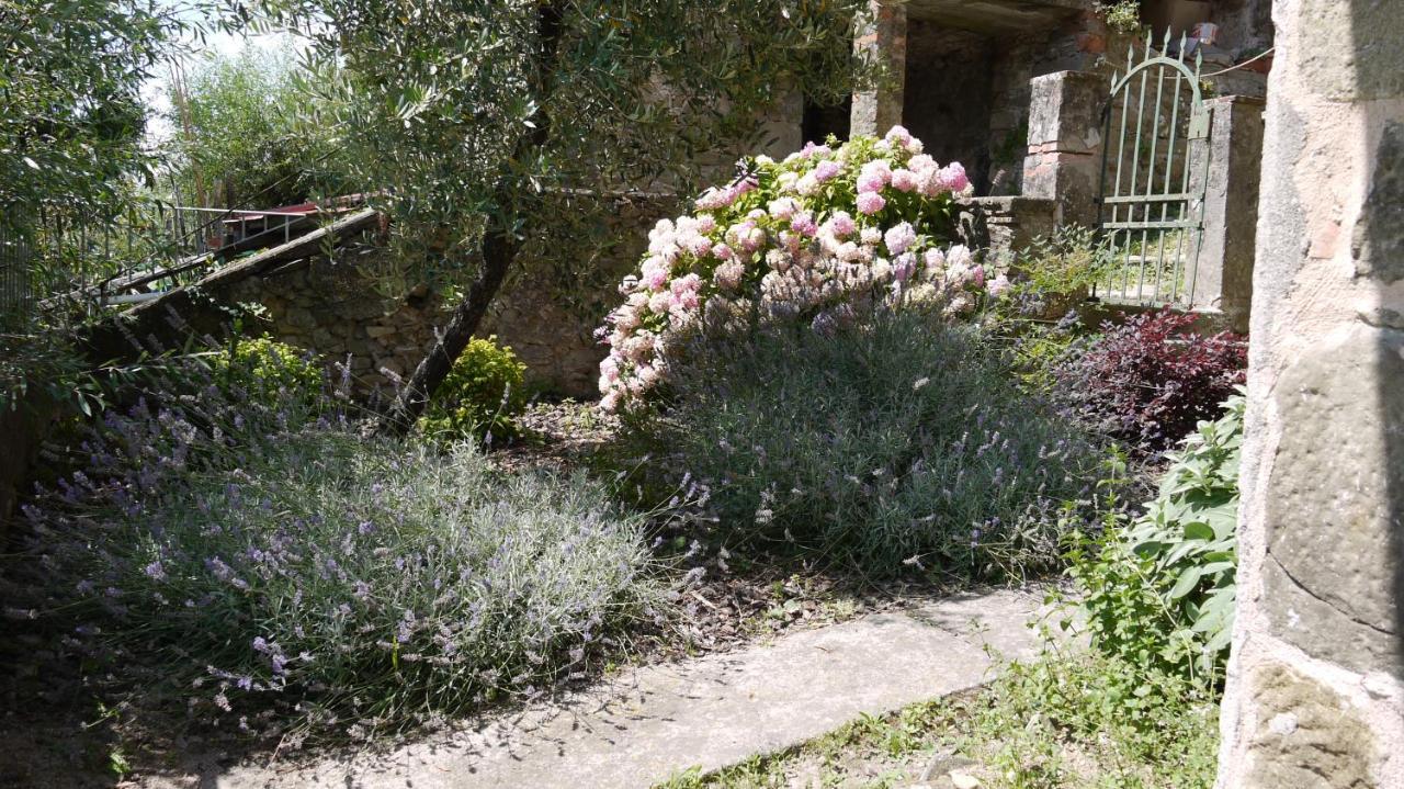 הוילה באניי די לוקה Piscina Con Vista מראה חיצוני תמונה